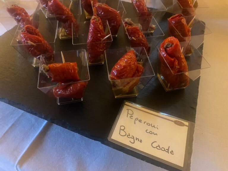 WhatsApp Image 2024-02-09 at 16.38.25 (2)